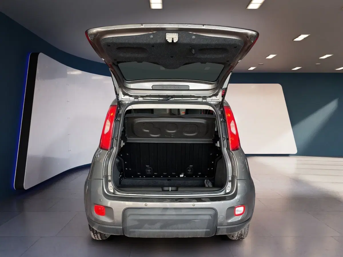 Fiat Panda usata a Torino (7)
