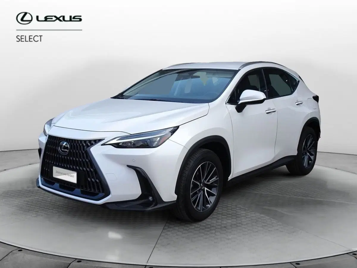 Lexus NX usata a Venezia