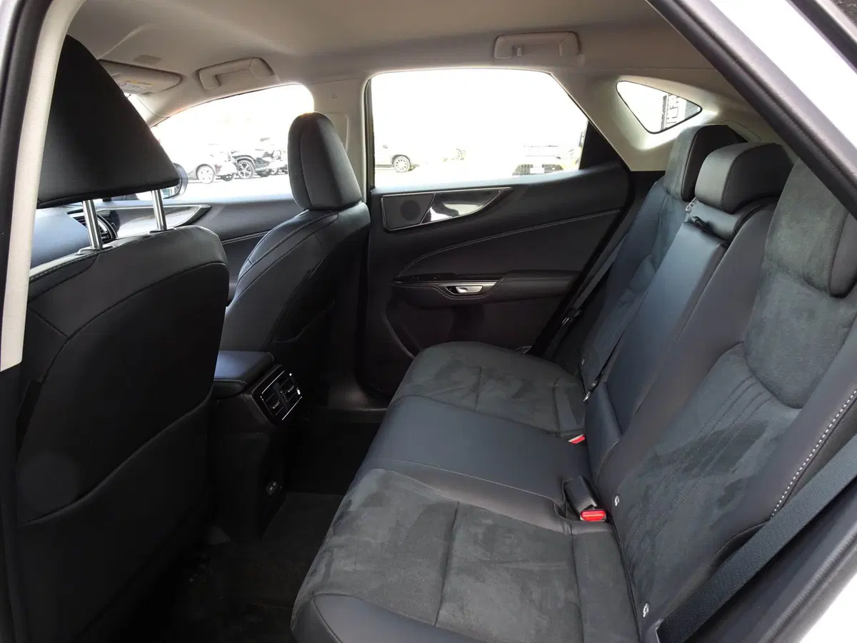 Lexus NX usata a Venezia (11)
