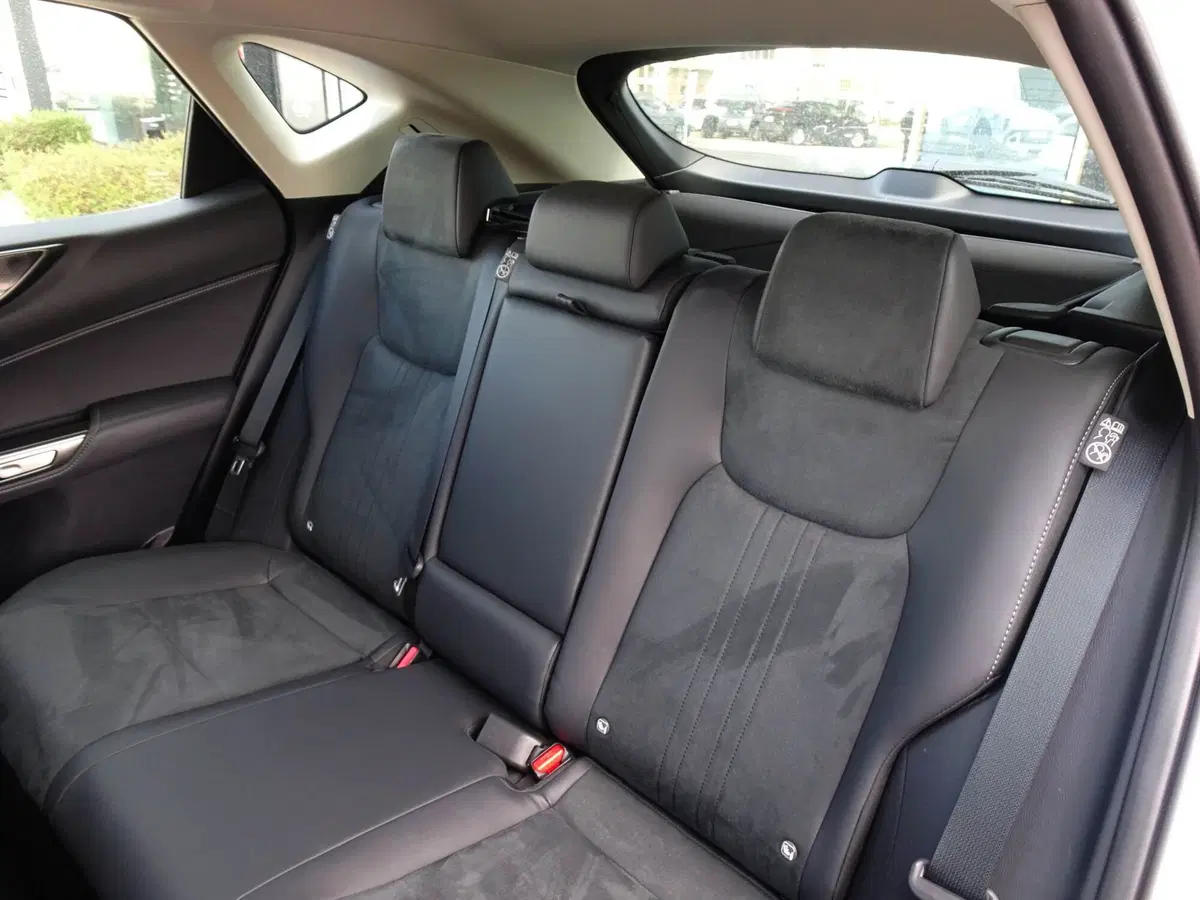 Lexus NX usata a Venezia (12)