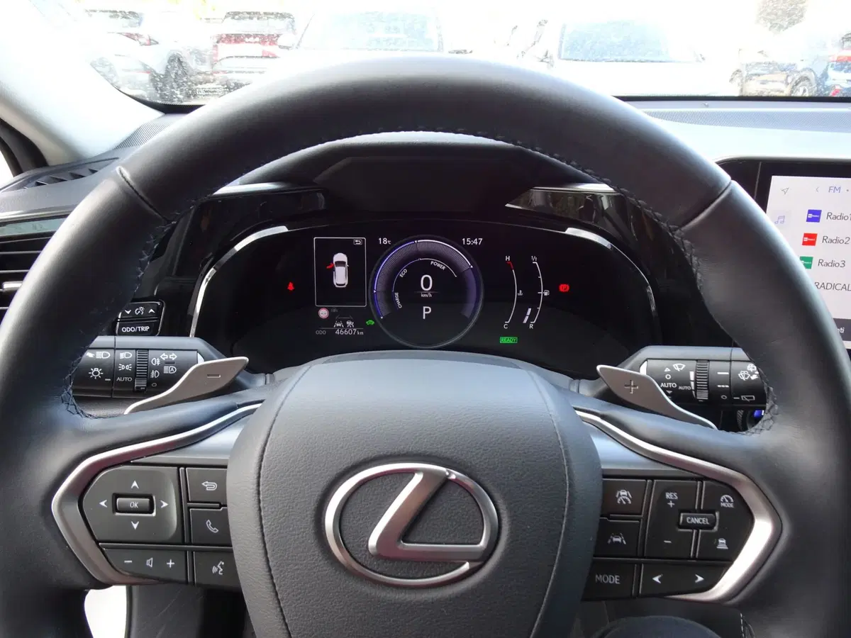 Lexus NX usata a Venezia (14)