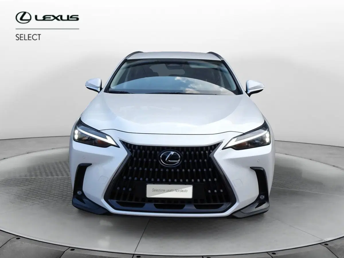 Lexus NX usata a Venezia (2)