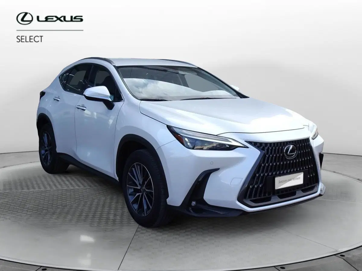 Lexus NX usata a Venezia (3)