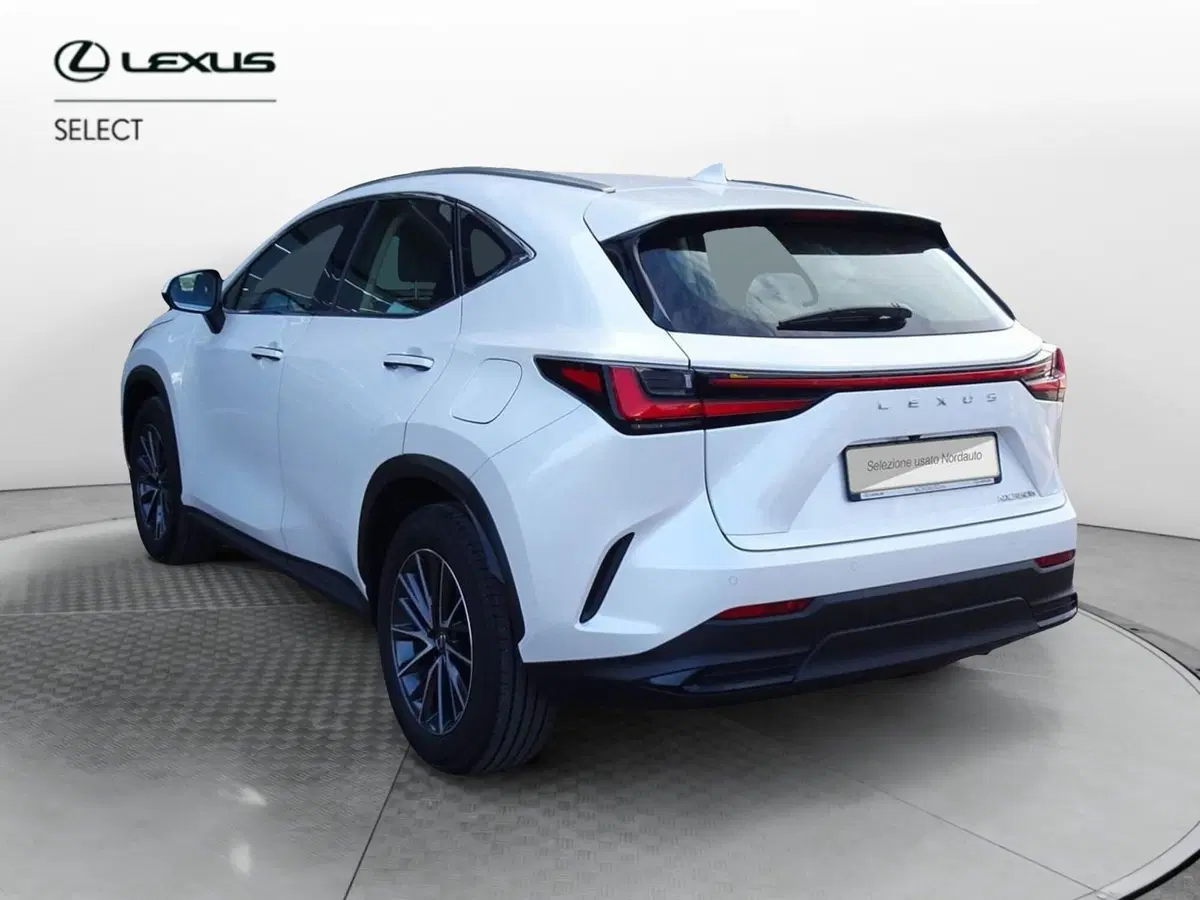 Lexus NX usata a Venezia (5)