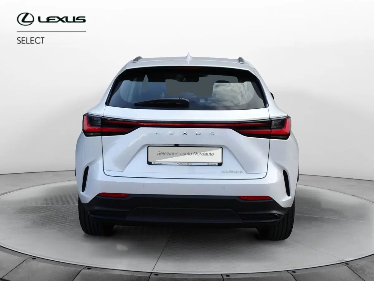 Lexus NX usata a Venezia (6)