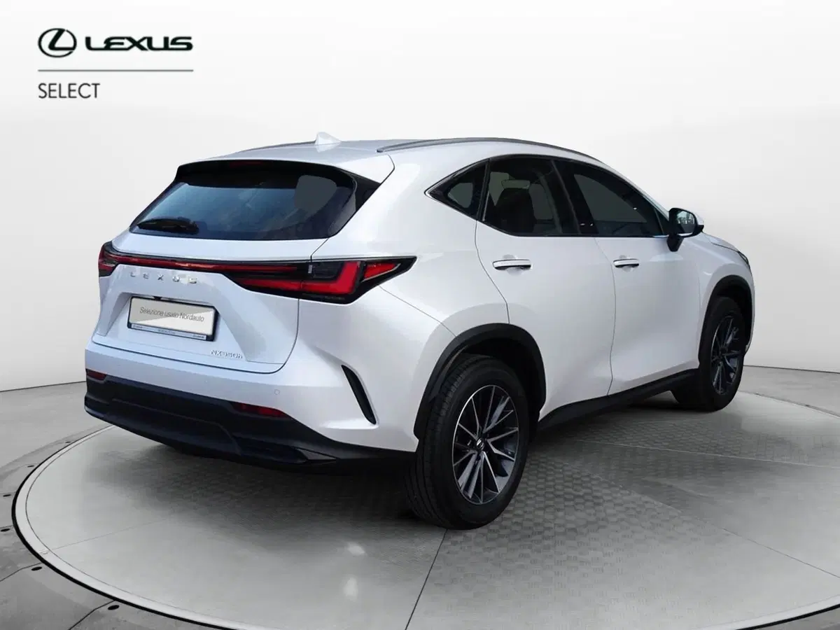 Lexus NX usata a Venezia (7)