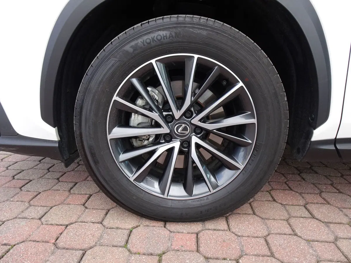 Lexus NX usata a Venezia (8)