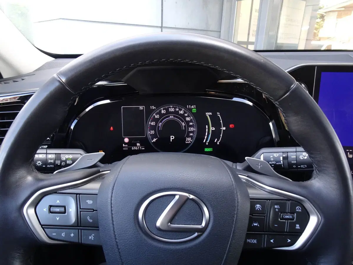 Lexus NX usata a Venezia (14)