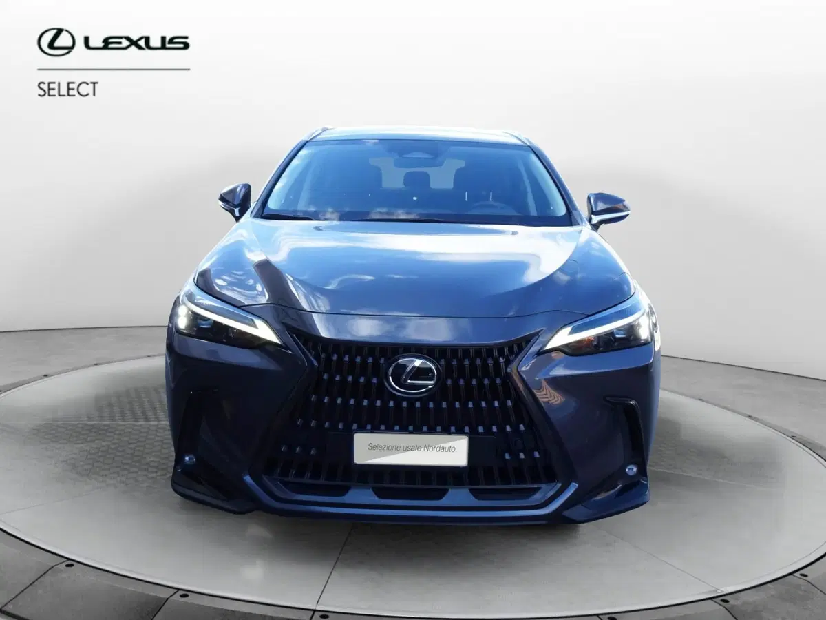 Lexus NX usata a Venezia (2)