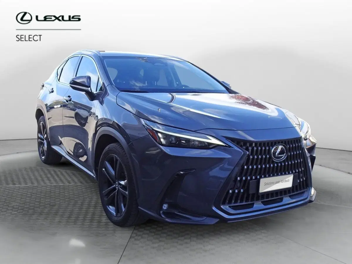 Lexus NX usata a Venezia (3)