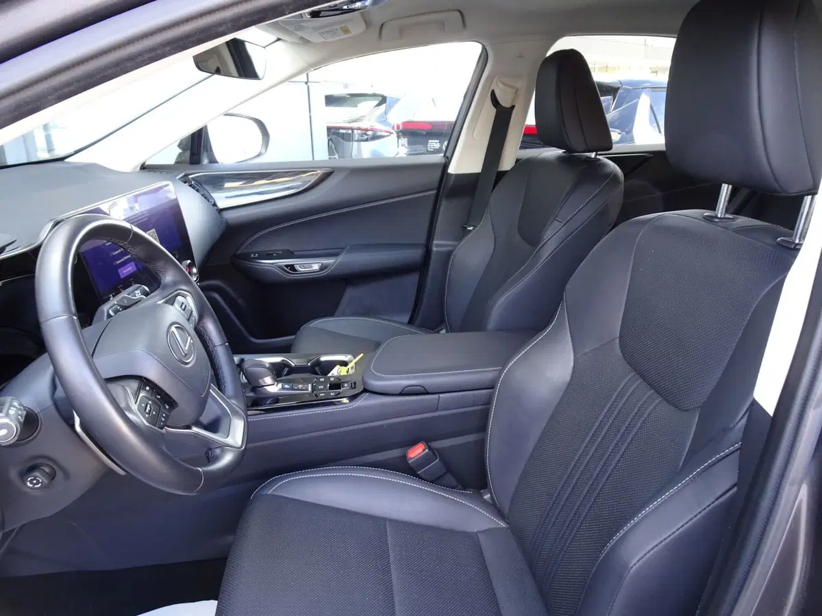 Lexus NX usata a Venezia (9)