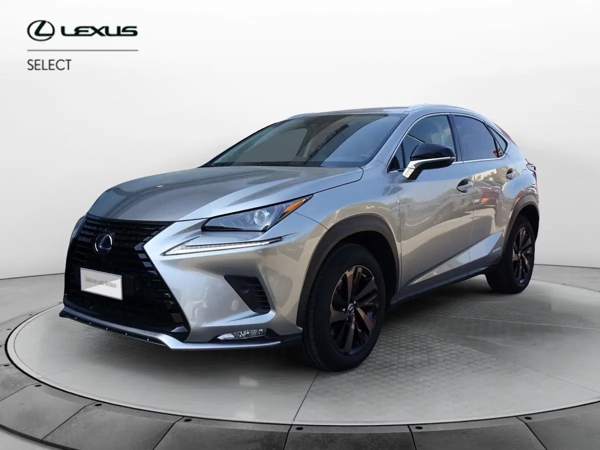 Lexus NX usata a Venezia