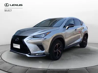 Lexus NX Hybrid 4WD Premium del 2022 usata a Venezia