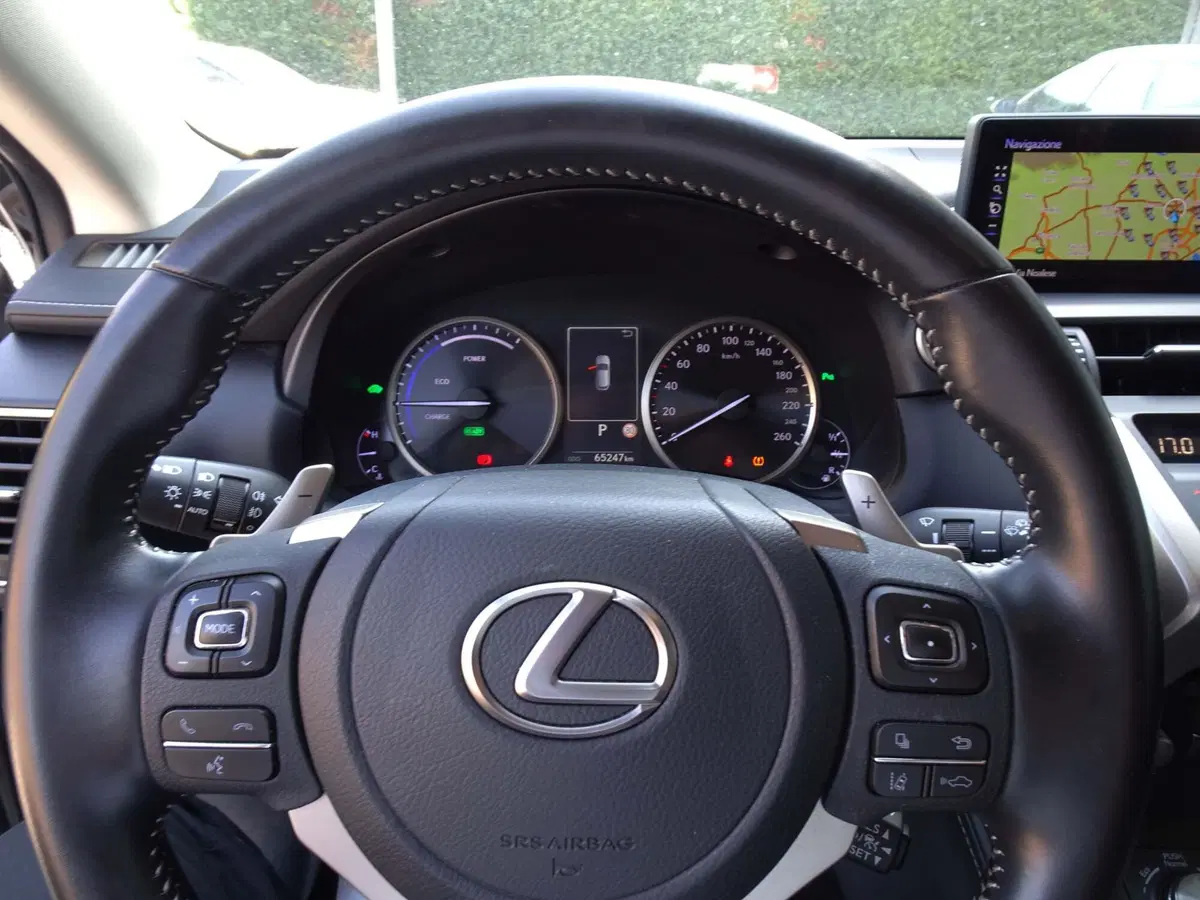 Lexus NX usata a Venezia (12)