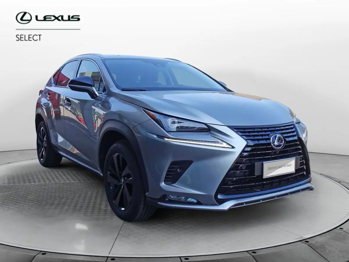 Lexus NX usata a Venezia (2)
