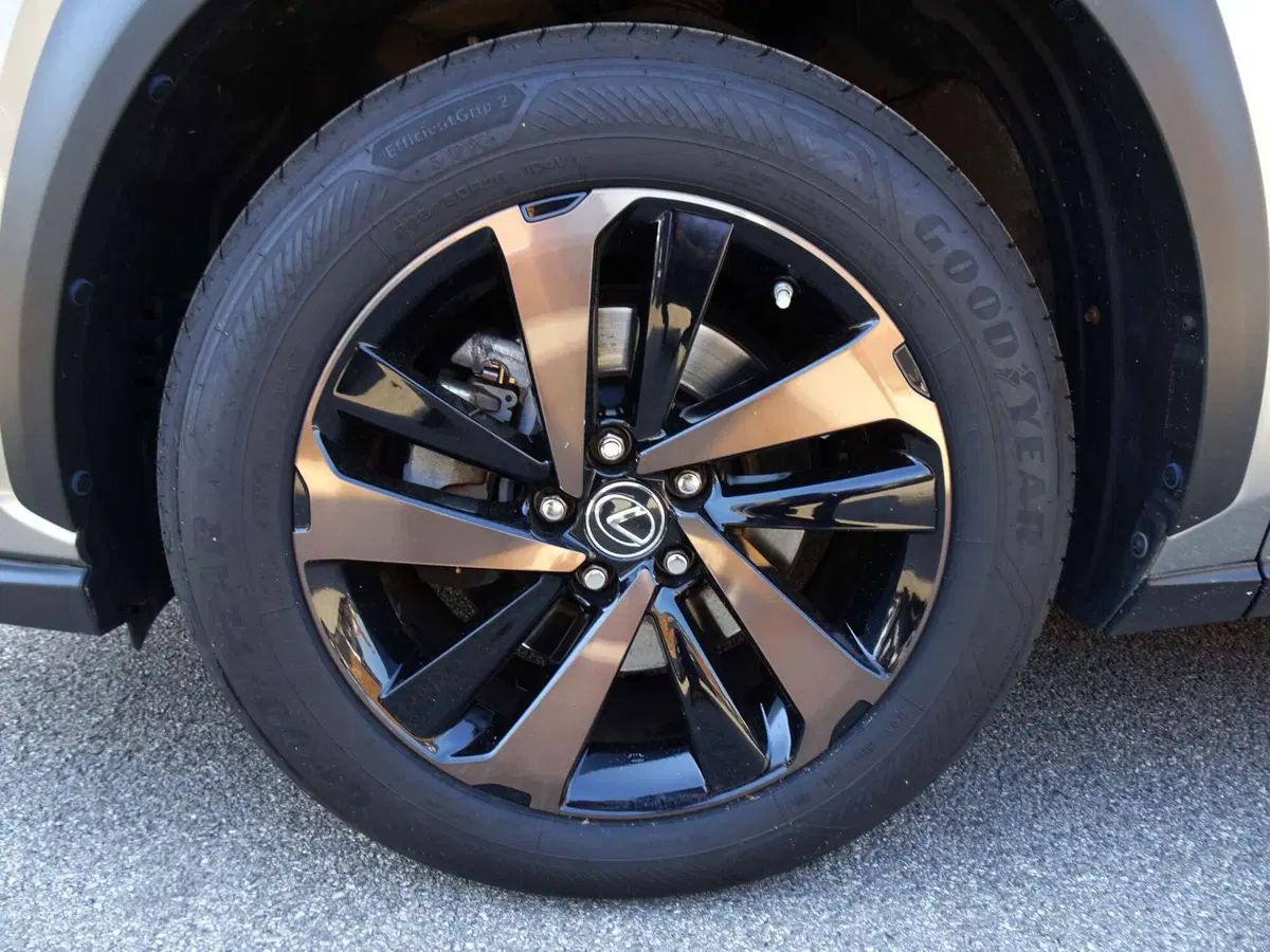 Lexus NX usata a Venezia (6)