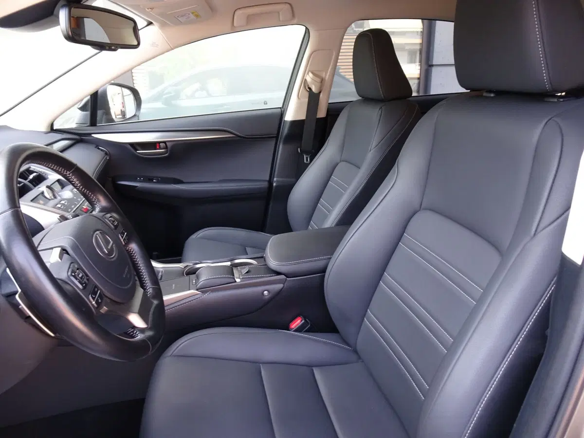 Lexus NX usata a Venezia (8)