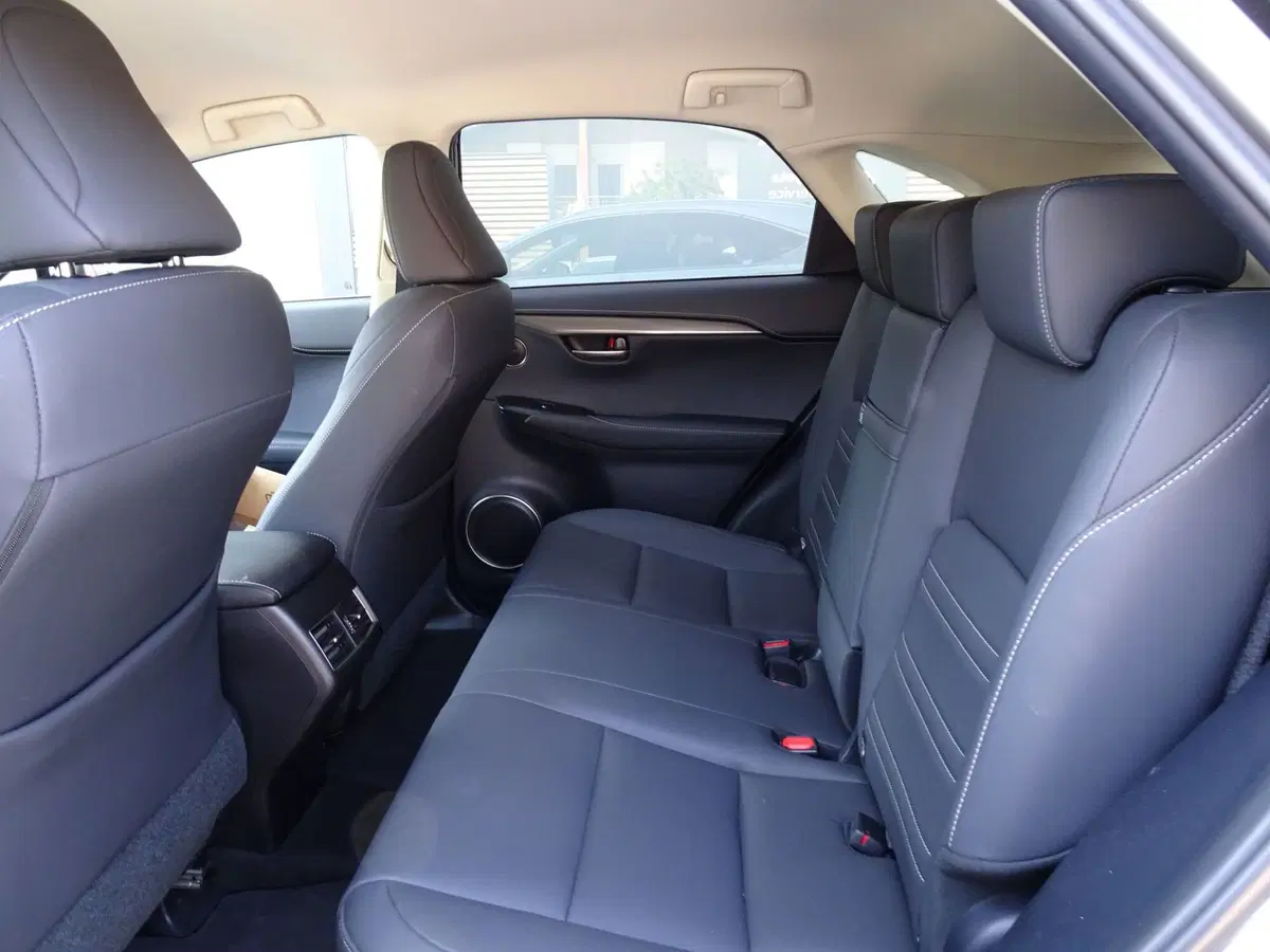 Lexus NX usata a Venezia (9)
