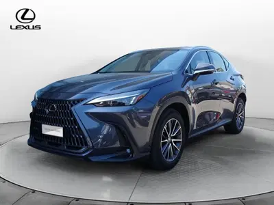 Lexus NX 350h 2.5 Business 4wd e-cvt del 2023 usata a Venezia
