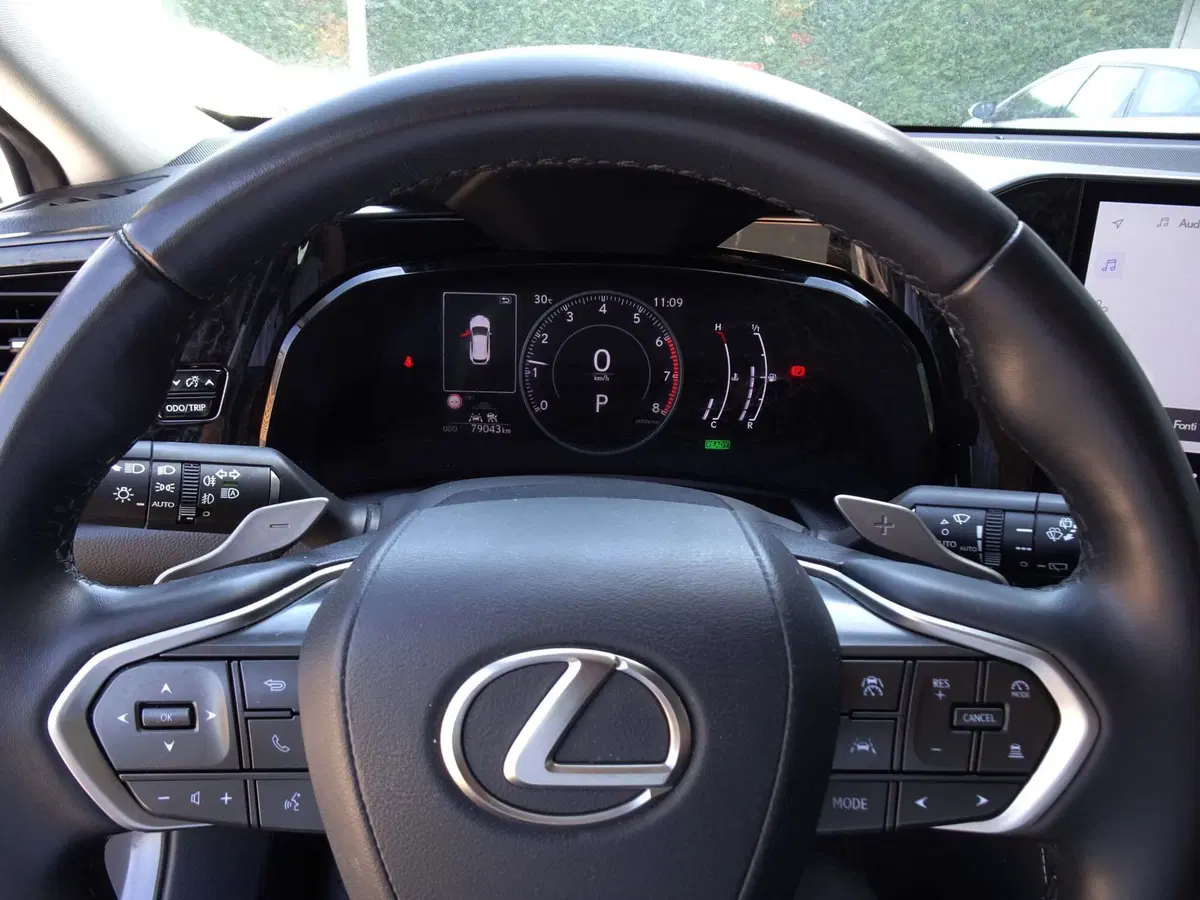 Lexus NX usata a Venezia (12)