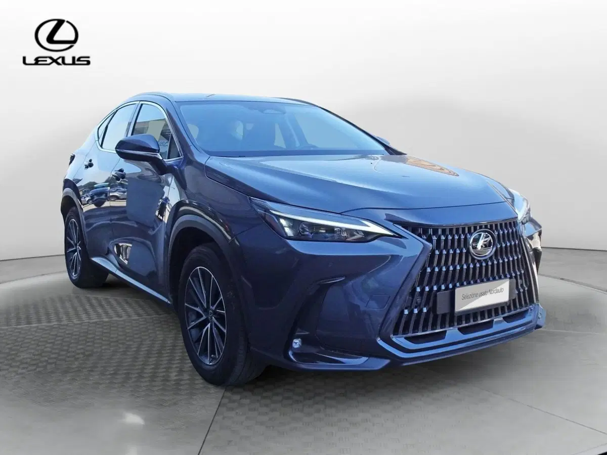 Lexus NX usata a Venezia (2)