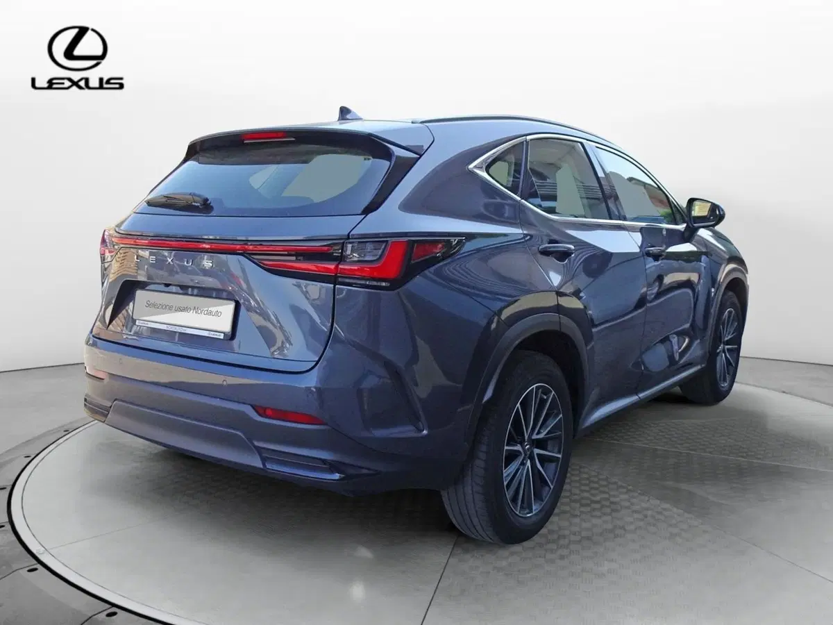 Lexus NX usata a Venezia (4)