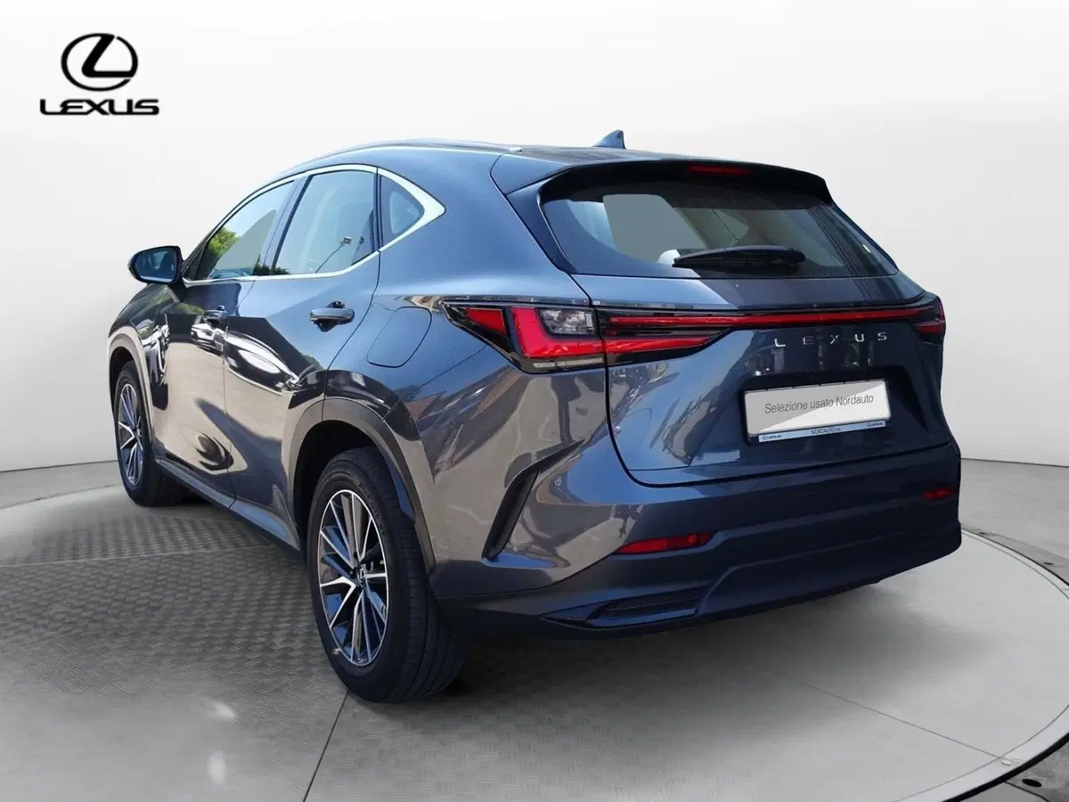 Lexus NX usata a Venezia (5)