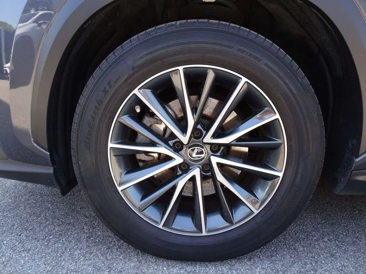 Lexus NX usata a Venezia (6)