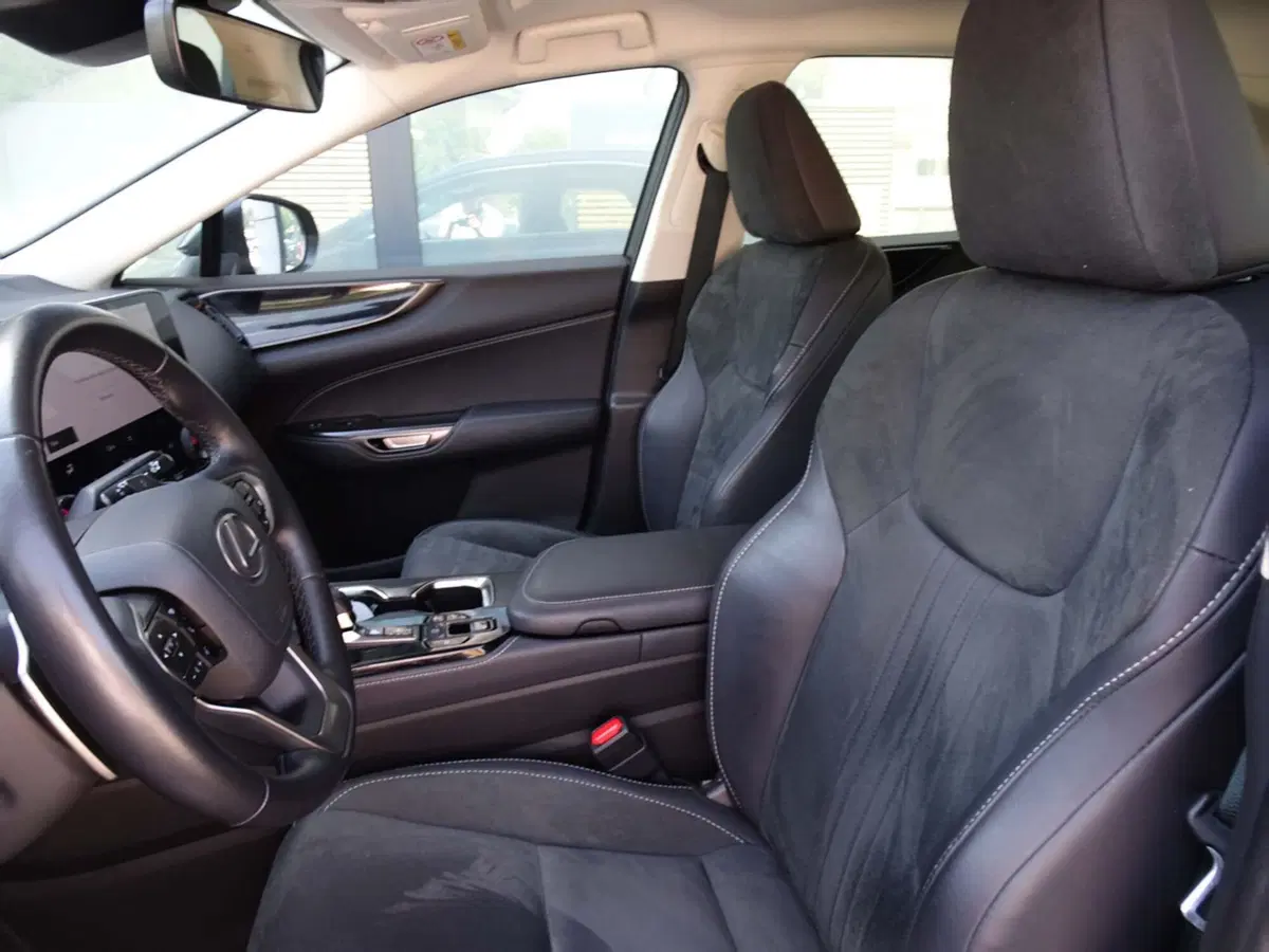 Lexus NX usata a Venezia (8)