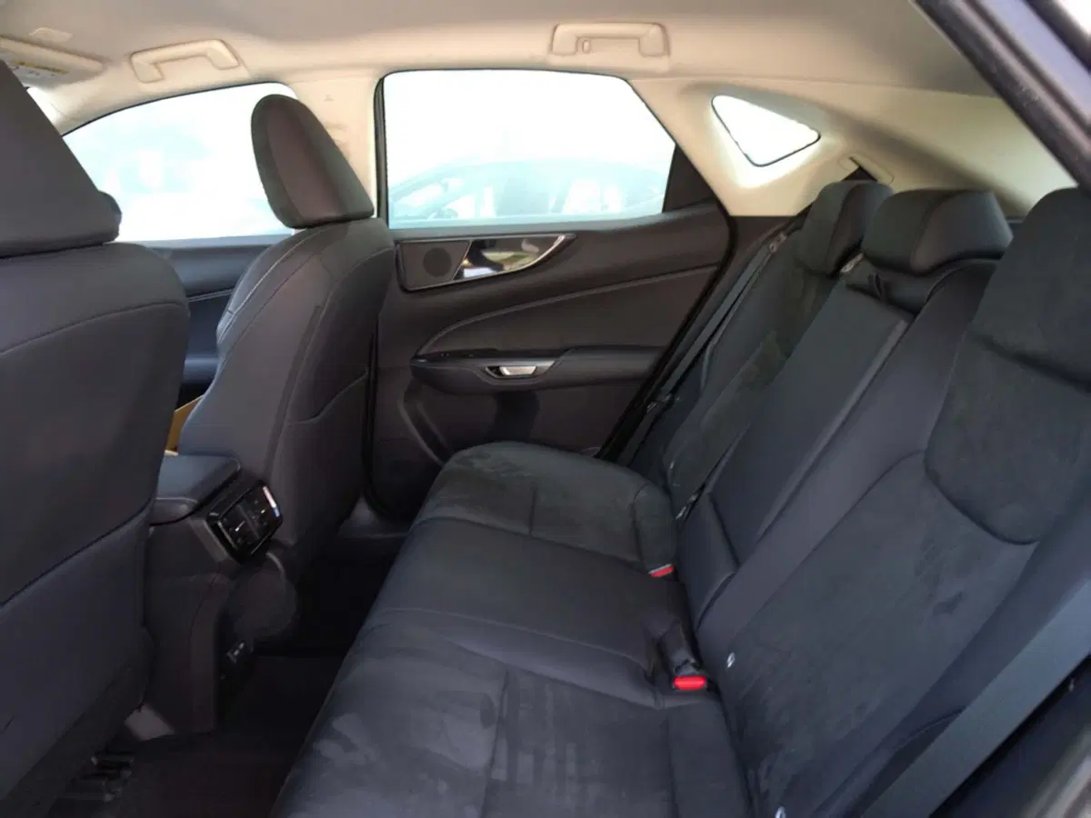 Lexus NX usata a Venezia (9)