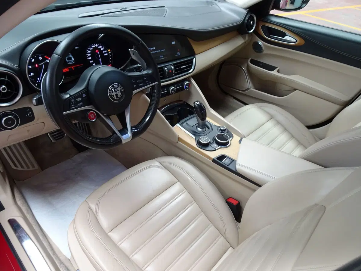 Alfa Romeo Giulia usata a Treviso (10)