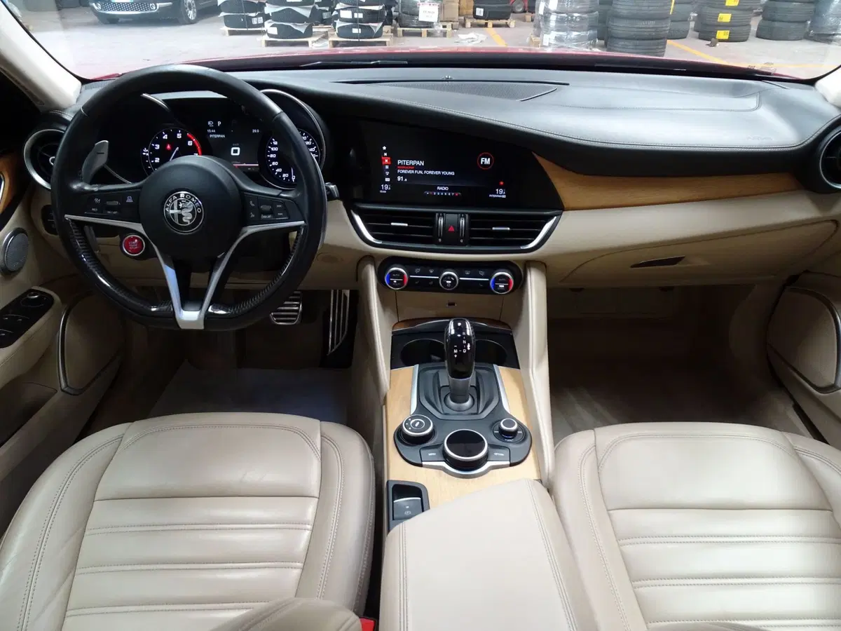 Alfa Romeo Giulia usata a Treviso (14)