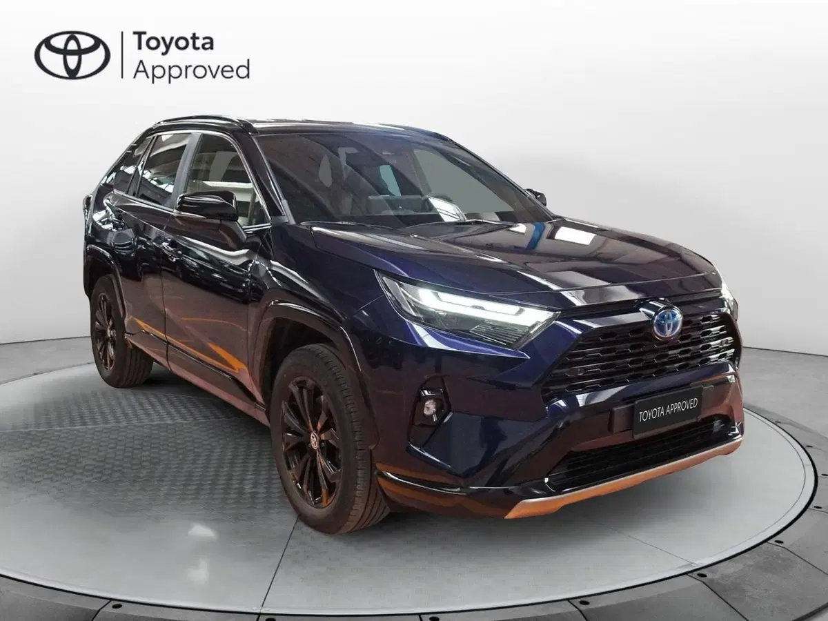 Toyota Rav4 usata a Treviso (3)