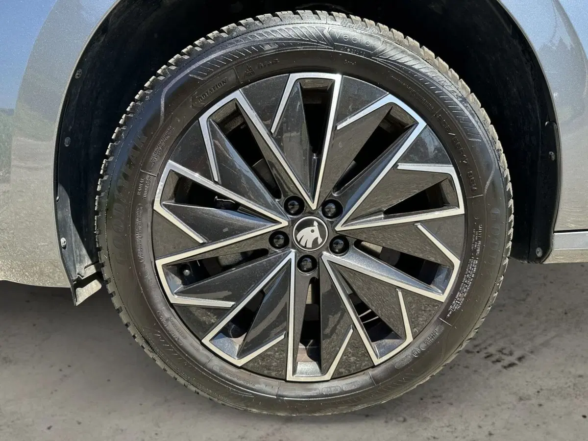 Skoda Kamiq usata a Pistoia (16)