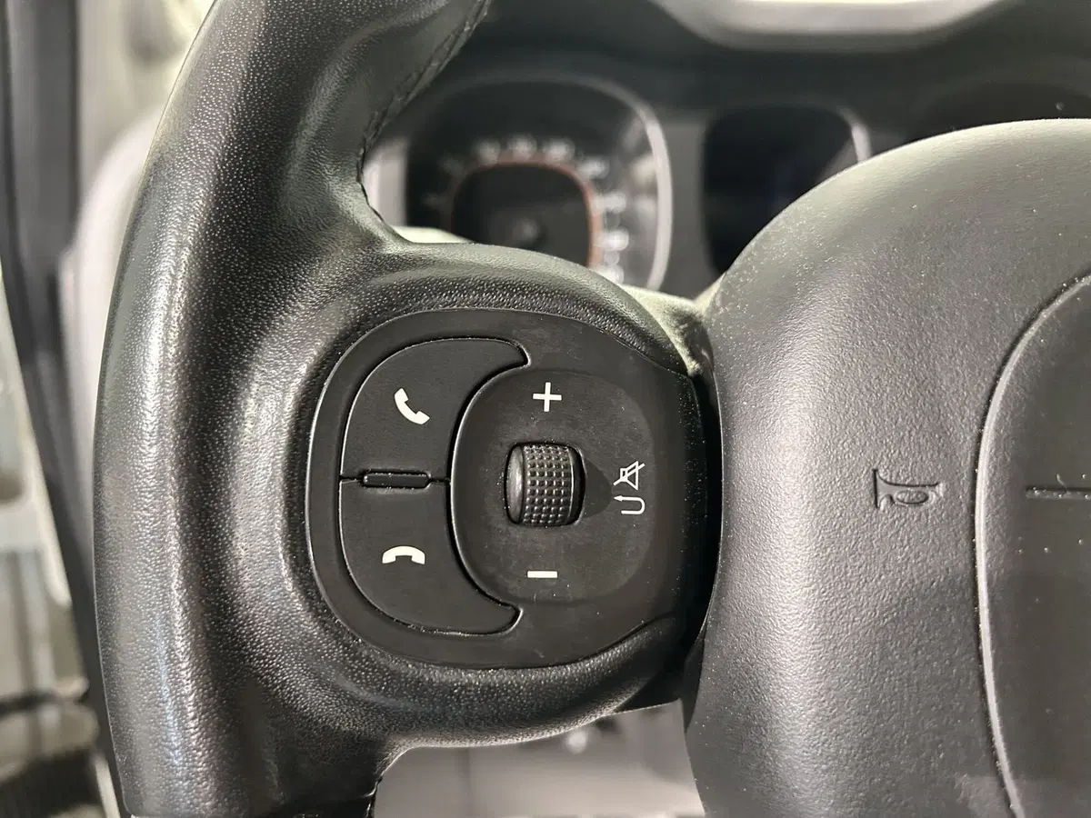 Fiat Panda usata a Milano (15)