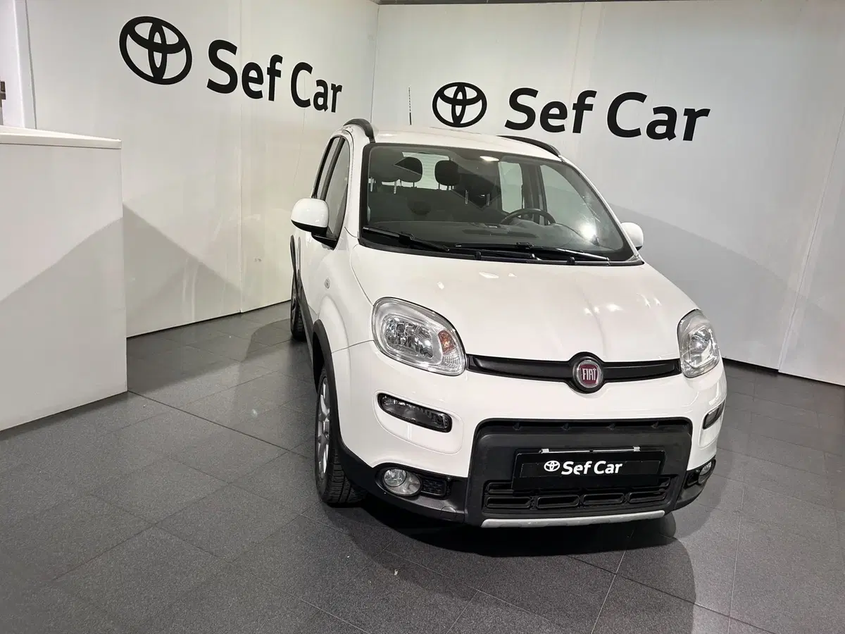 Fiat Panda usata a Milano (3)