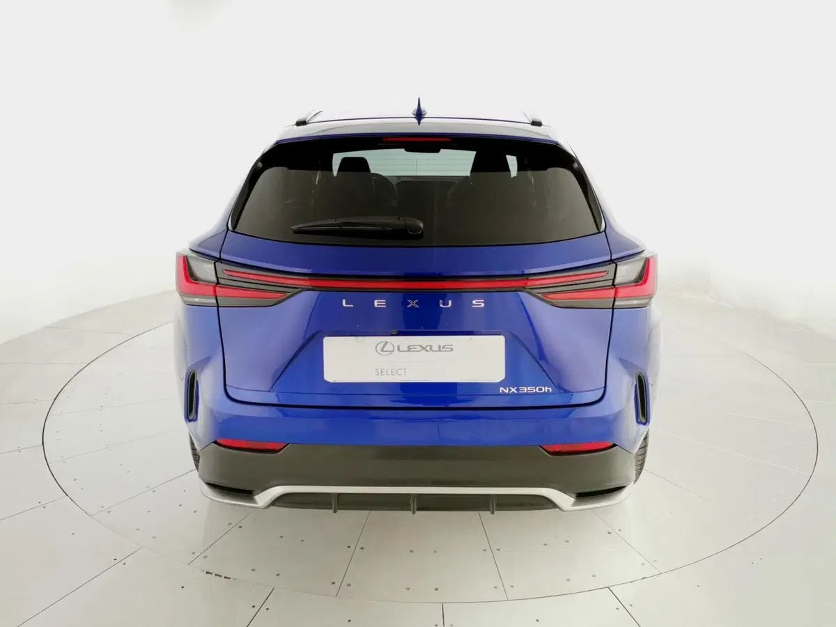 Lexus NX usata a Chieti (10)