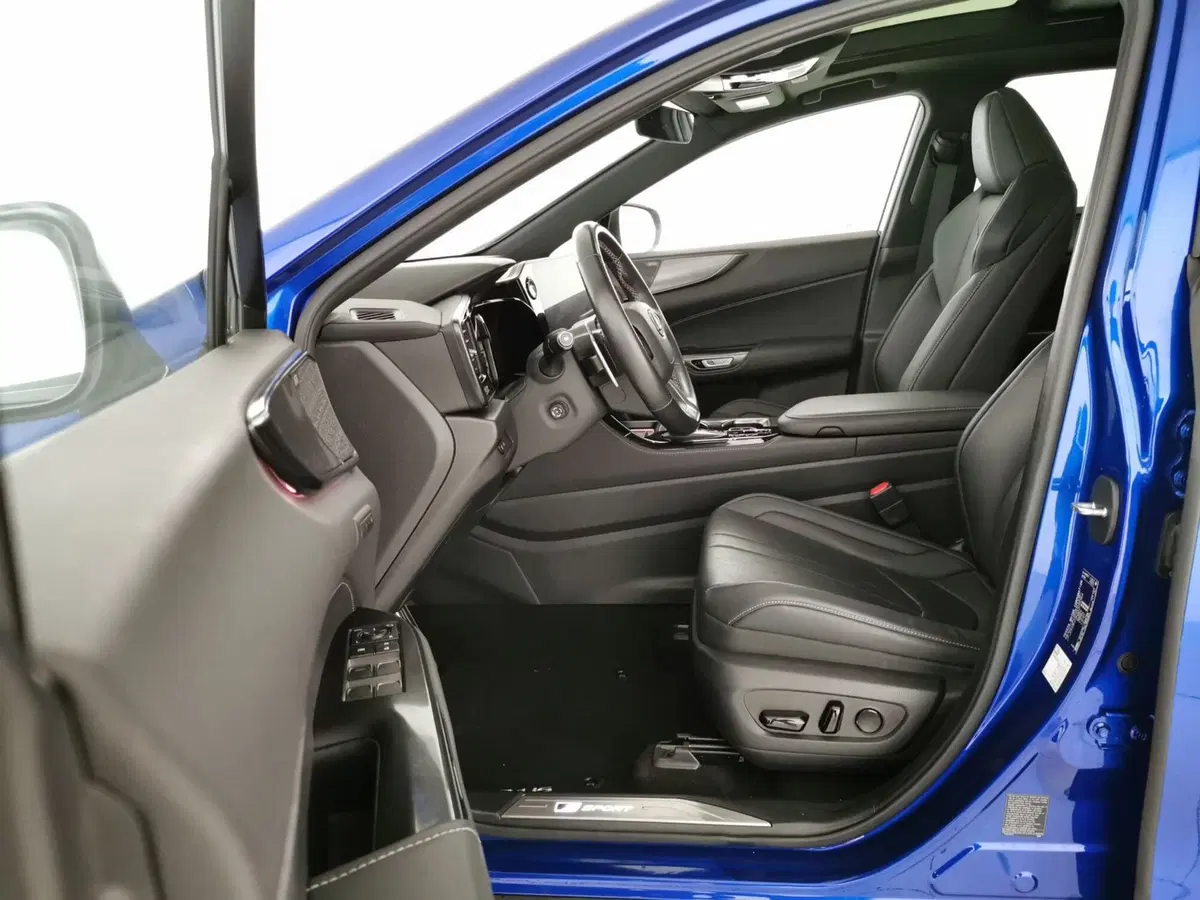 Lexus NX usata a Chieti (14)