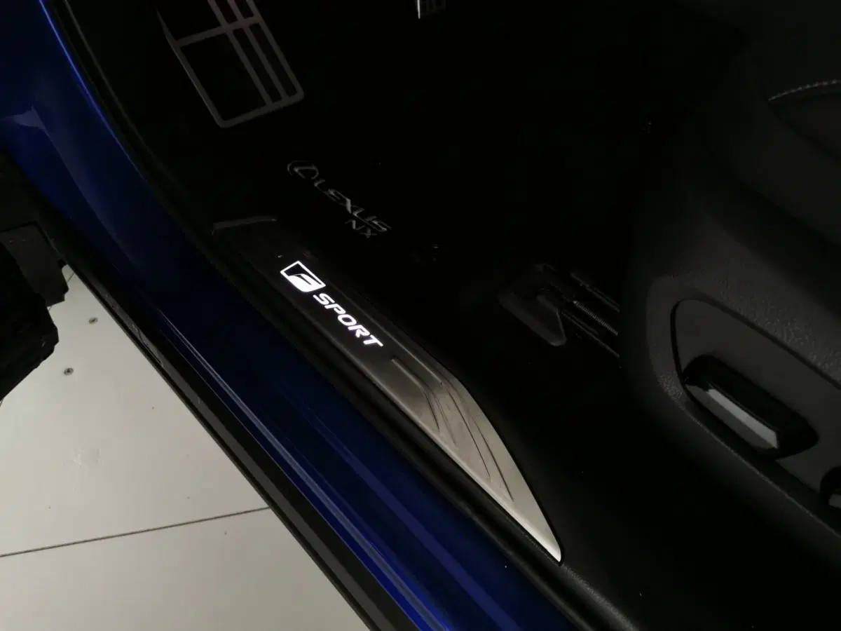 Lexus NX usata a Chieti (16)