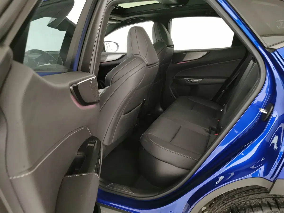 Lexus NX usata a Chieti (19)