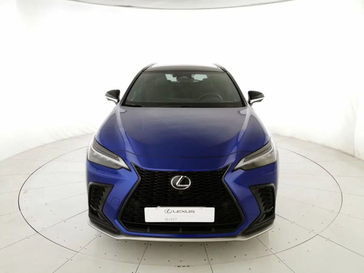 Lexus NX usata a Chieti (5)