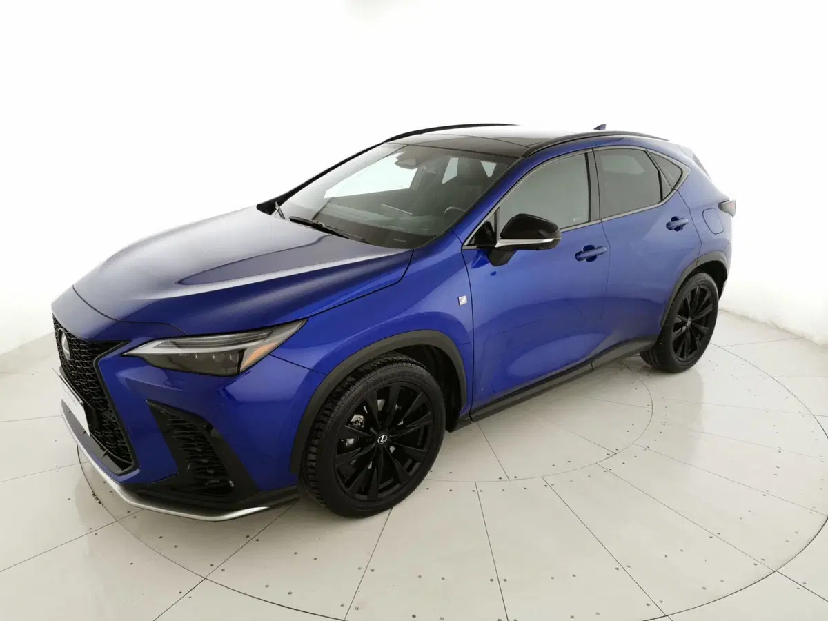Lexus NX usata a Chieti (6)