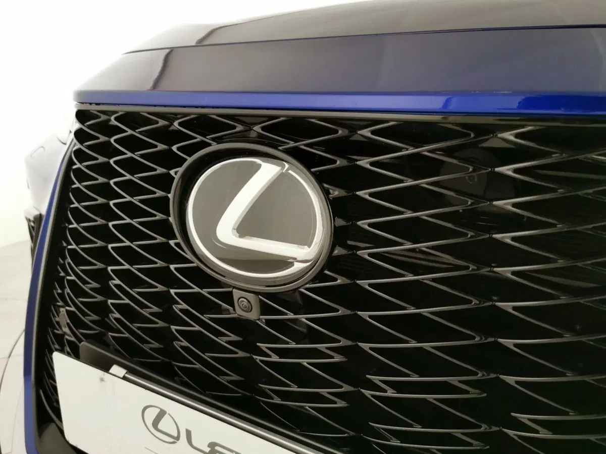 Lexus NX usata a Chieti (8)