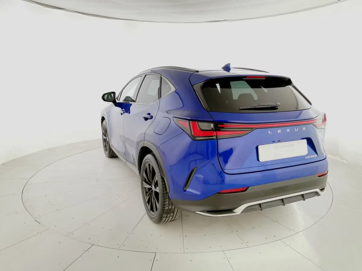 Lexus NX usata a Chieti (9)