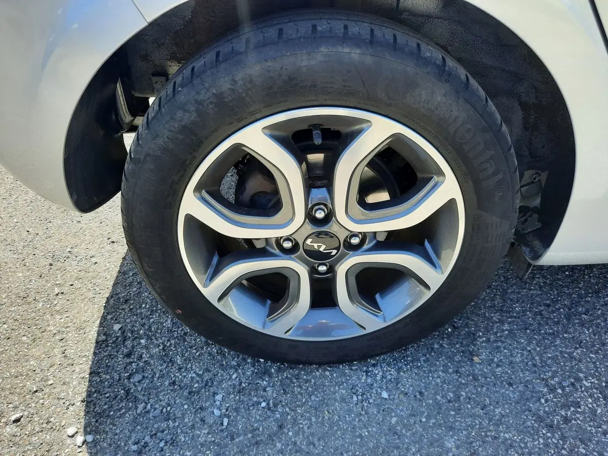 Kia Picanto usata a La Spezia (9)