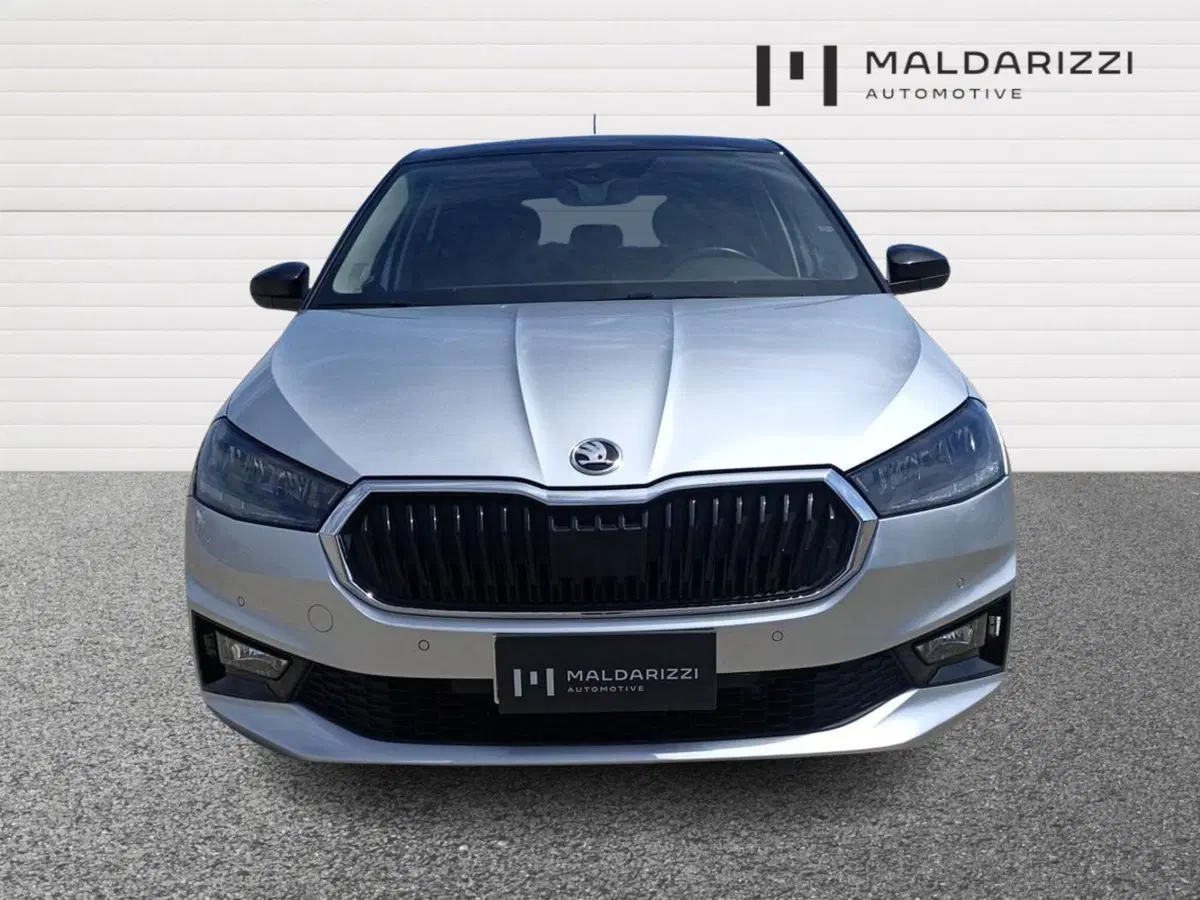 Skoda Fabia usata a Lecce (2)