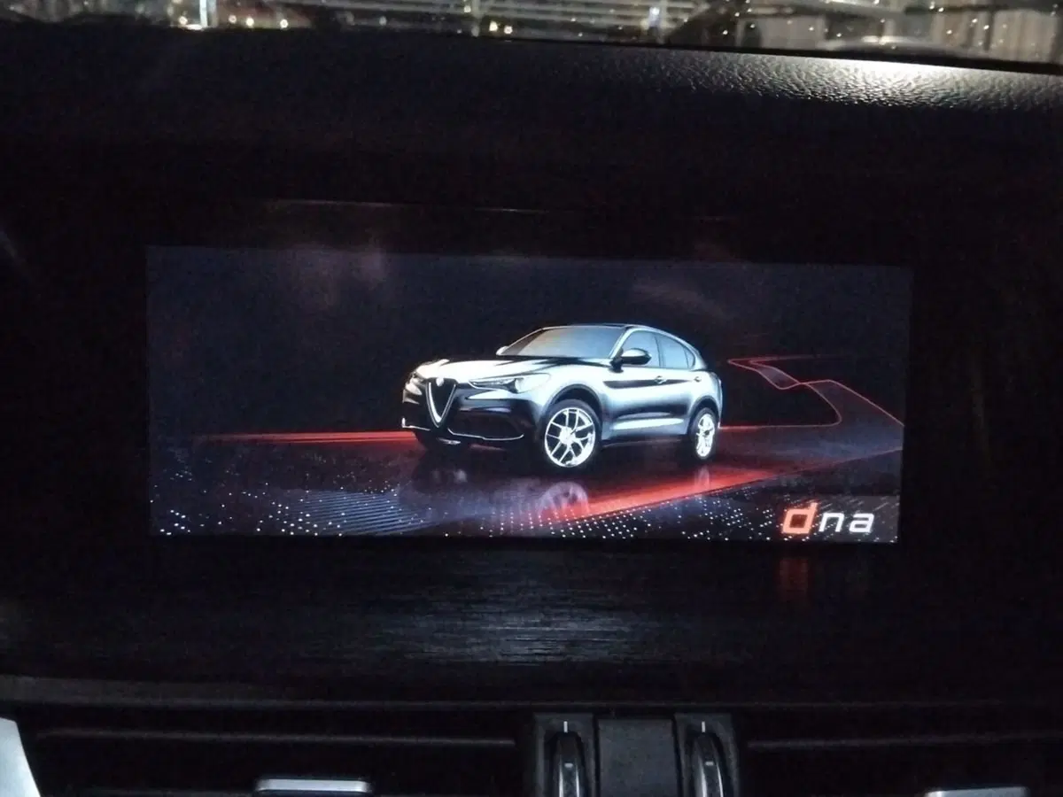 Alfa Romeo Stelvio usata a Pescara (19)