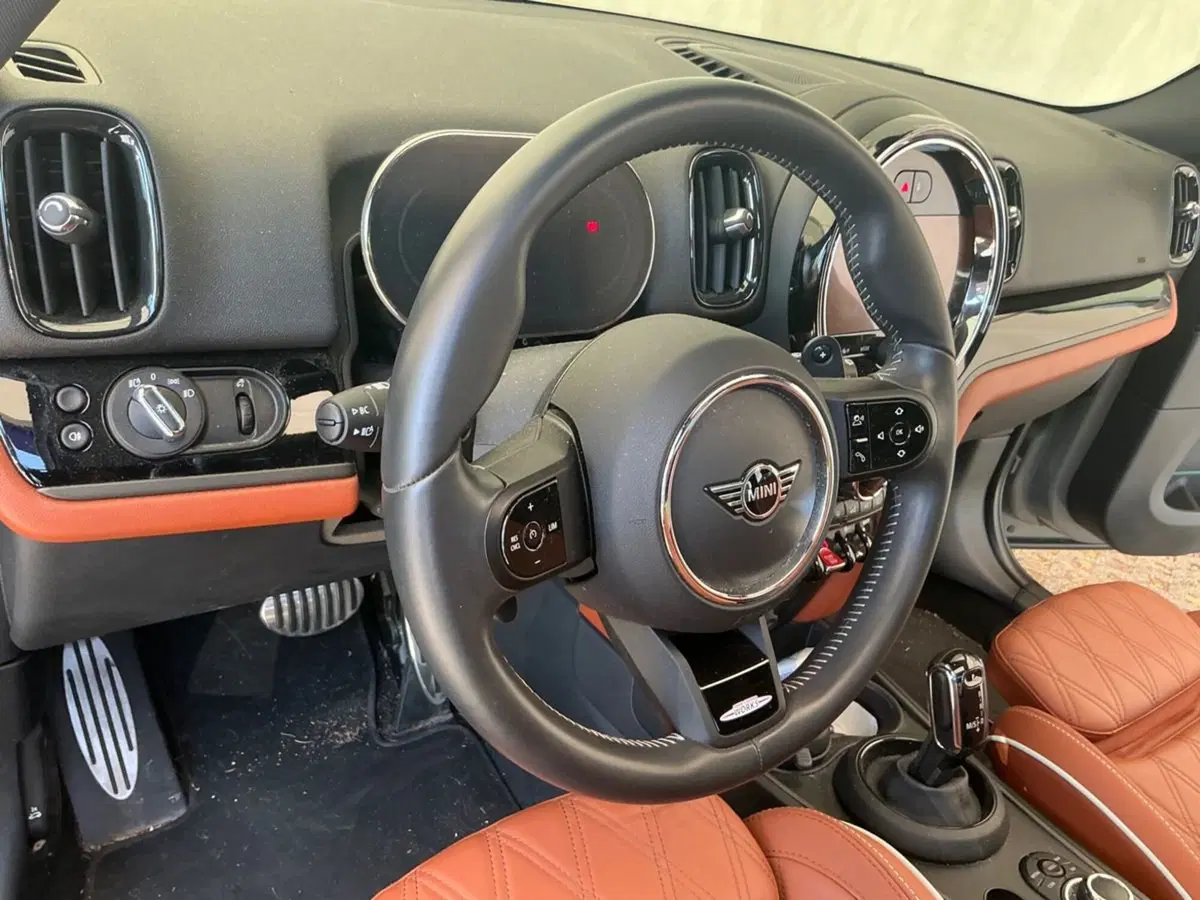 MINI Mini Countryman usata a Como (10)
