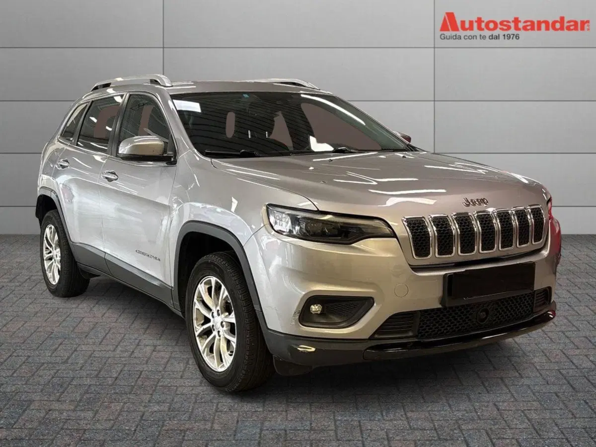 Jeep Cherokee usata a Torino (3)