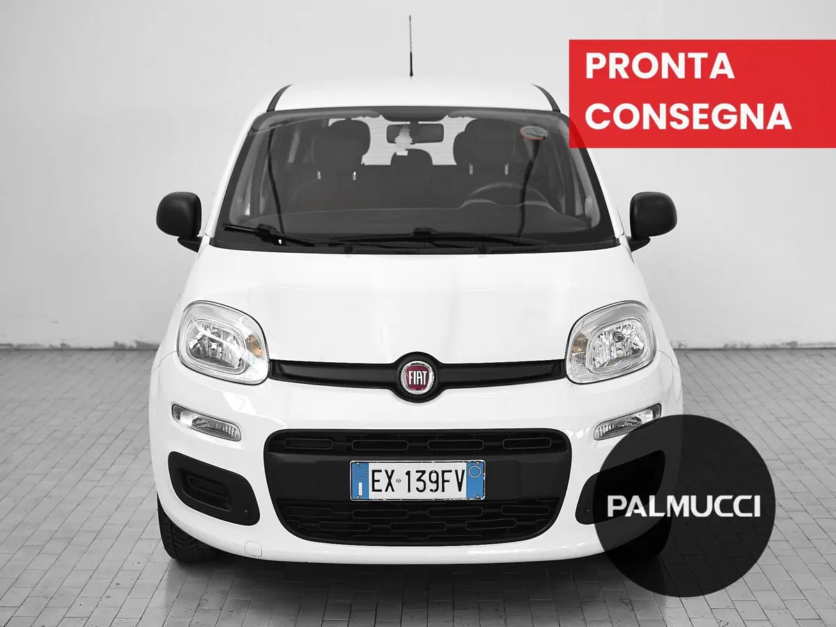 Fiat Panda usata a Prato